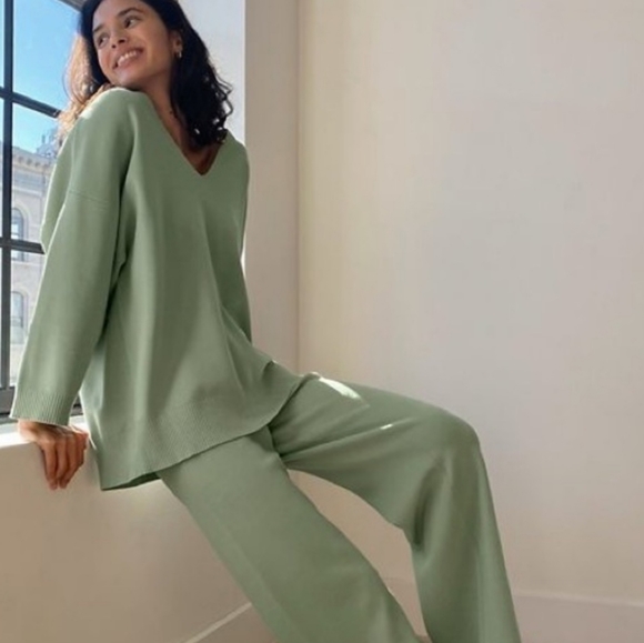 Aritzia Sweaters - Aritzia Wilfred Free Souvenir Sage Green V neck Sweater size 2